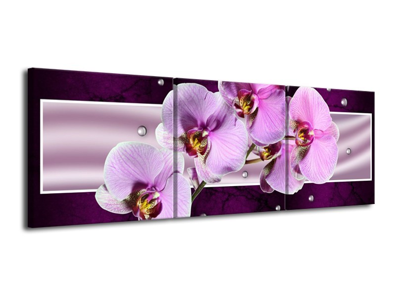 Glas schilderij Orchidee | Paars, Wit | 120x40cm 3Luik