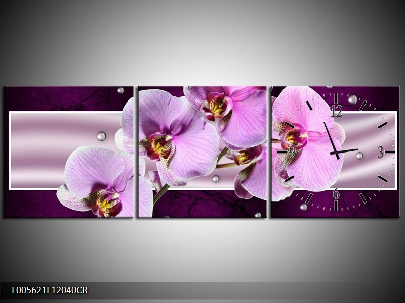 Klok schilderij Orchidee | Paars, Wit | 120x40cm 3Luik