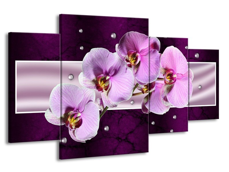 Glas schilderij Orchidee | Paars, Wit | 160x90cm 4Luik