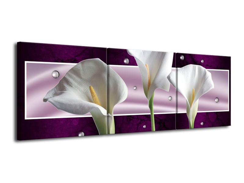 Canvas schilderij Bloem | Wit, Paars | 120x40cm 3Luik