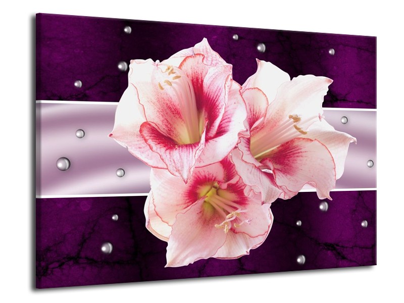 Canvas schilderij Tuin | Paars, Roze, Wit | 70x50cm 1Luik