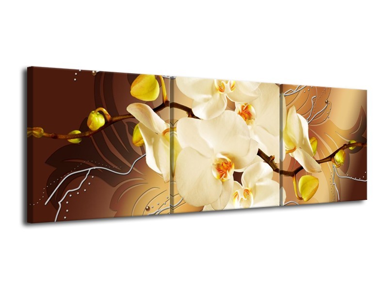 Glas schilderij Orchidee | Bruin, Crème | 120x40cm 3Luik