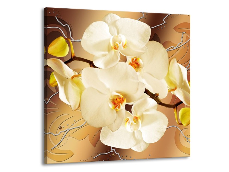 Glas schilderij Orchidee | Bruin, Crème | 50x50cm 1Luik