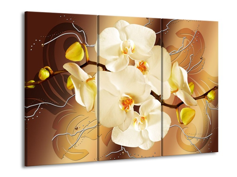 Glas schilderij Orchidee | Bruin, Crème | 90x60cm 3Luik