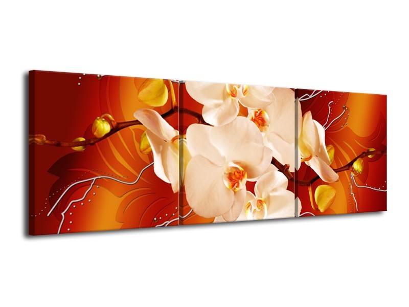 Glas schilderij Orchidee | Rood, Oranje, Crème | 120x40cm 3Luik