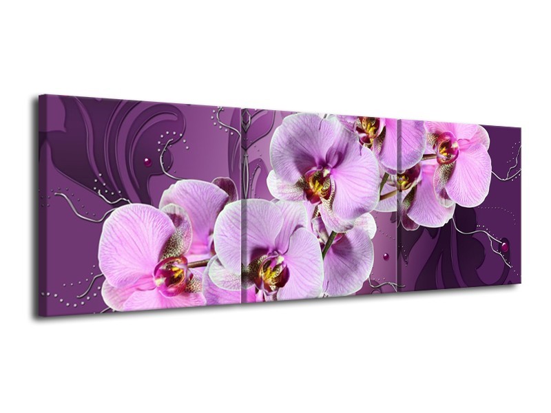 Glas schilderij Orchidee | Paars | 120x40cm 3Luik