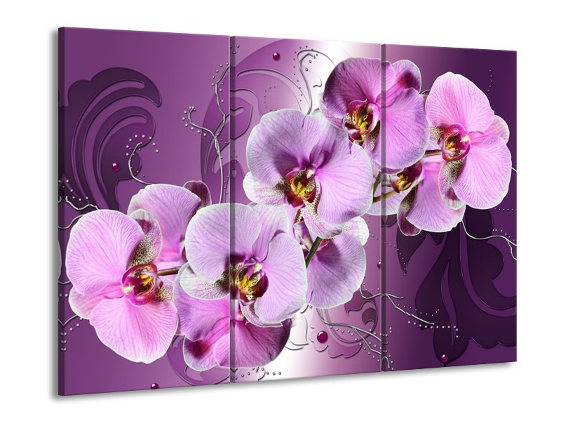 Canvas schilderij Orchidee | Paars | 90x60cm 3Luik