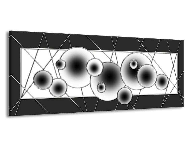 Glas schilderij Cirkel | Zwart, Wit | 145x58cm 1Luik