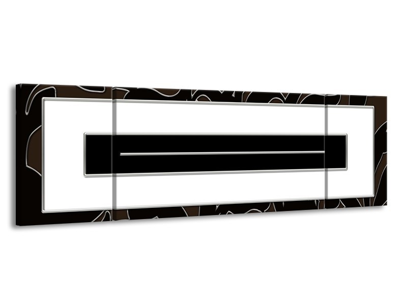 Glas schilderij Art | Zwart, Wit | 170x50cm 3Luik