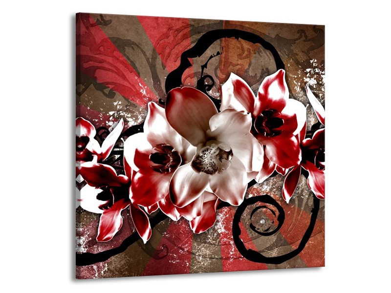 Canvas schilderij Orchidee | Rood, Wit, | 70x70cm 1Luik
