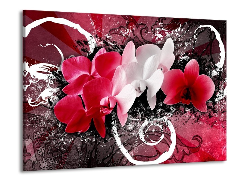 Canvas schilderij Orchidee | Roze, Wit, Zwart | 100x70cm 1Luik