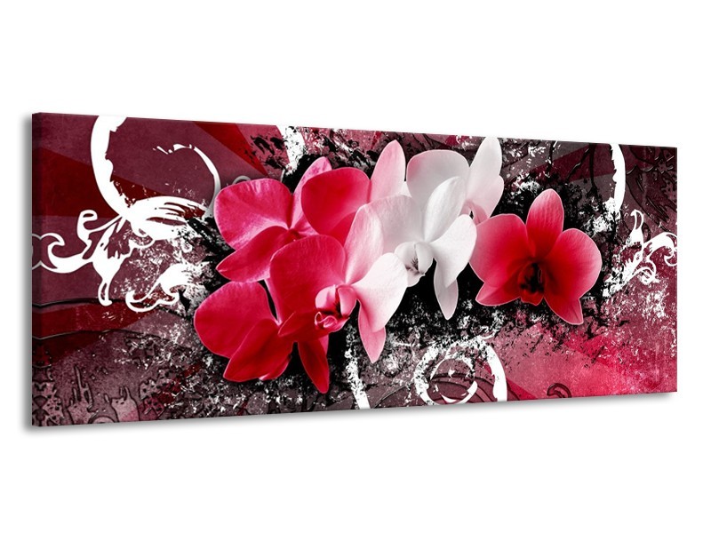 Glas schilderij Orchidee | Roze, Wit, Zwart | 145x58cm 1Luik
