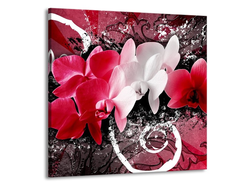 Canvas schilderij Orchidee | Roze, Wit, Zwart | 50x50cm 1Luik