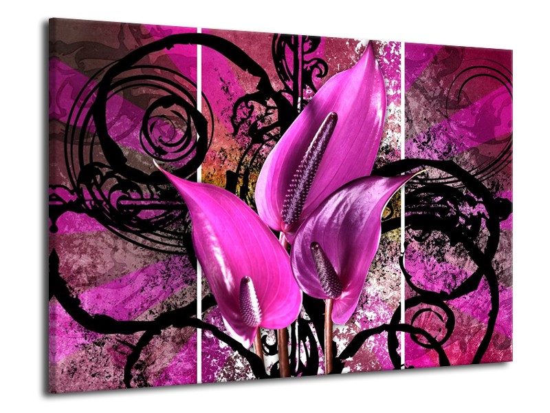 Canvas schilderij Anthurium | Paars, Zwart | 70x50cm 1Luik