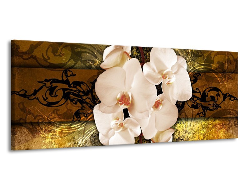 Glas schilderij Orchidee | Bruin, Goud, Crème | 145x58cm 1Luik