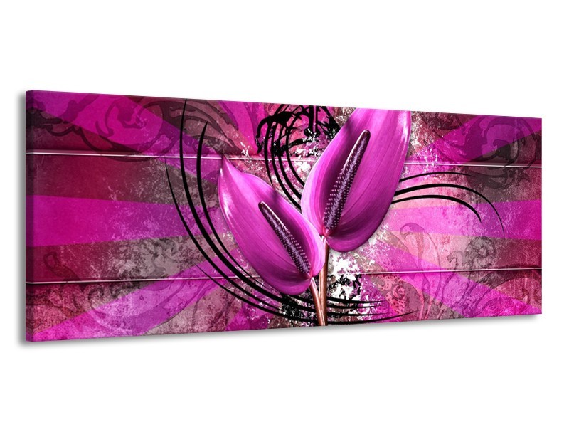 Canvas schilderij Anthurium | Paars | 145x58cm 1Luik