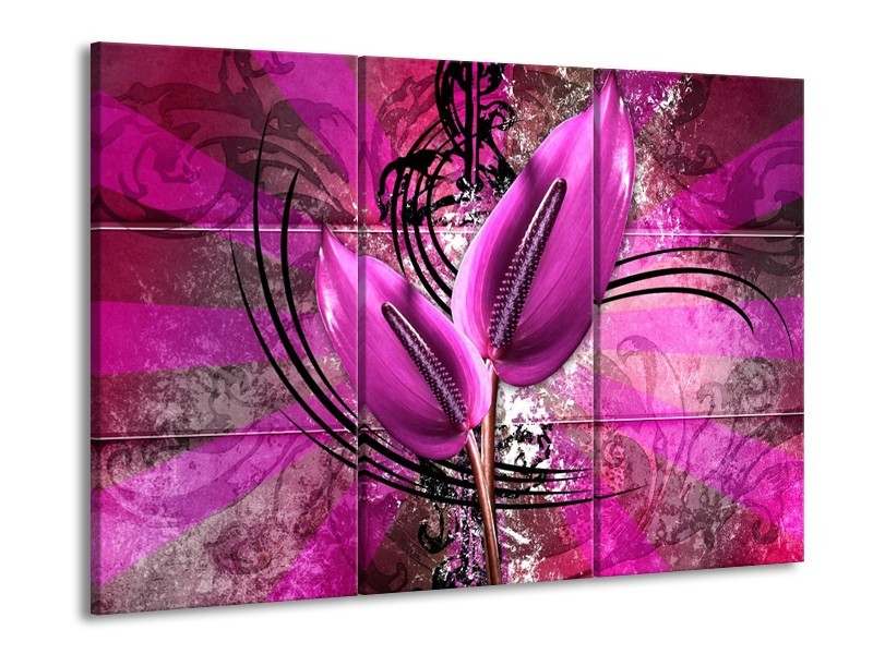 Canvas schilderij Anthurium | Paars | 90x60cm 3Luik