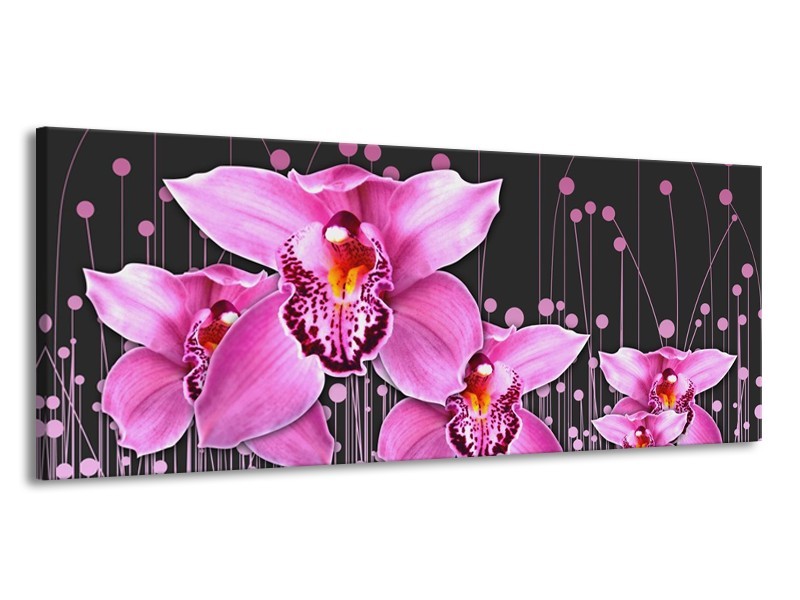 Canvas schilderij Orchidee | Roze, Grijs | 145x58cm 1Luik