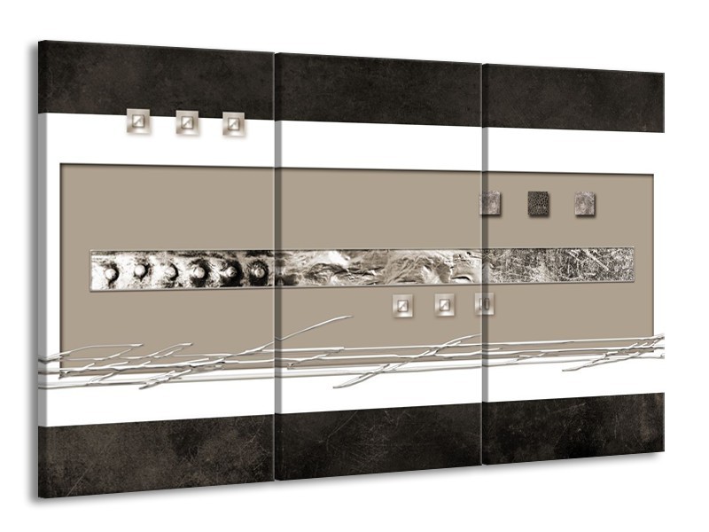 Glas schilderij Art | Grijs, Wit, Zwart | 165x100cm 3Luik
