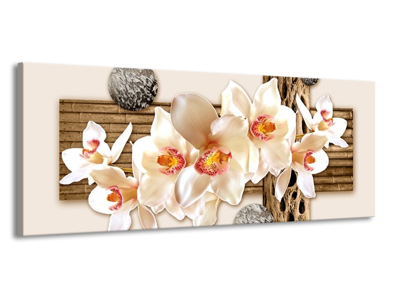 Canvas schilderij Orchidee | Crème, Bruin | 145x58cm 1Luik