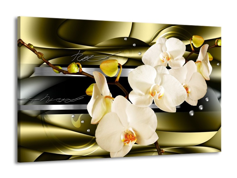 Glas schilderij Orchidee | Groen, Crème | 140x90cm 1Luik