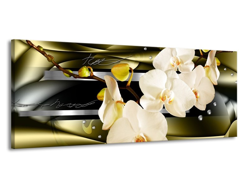 Glas schilderij Orchidee | Groen, Crème | 145x58cm 1Luik