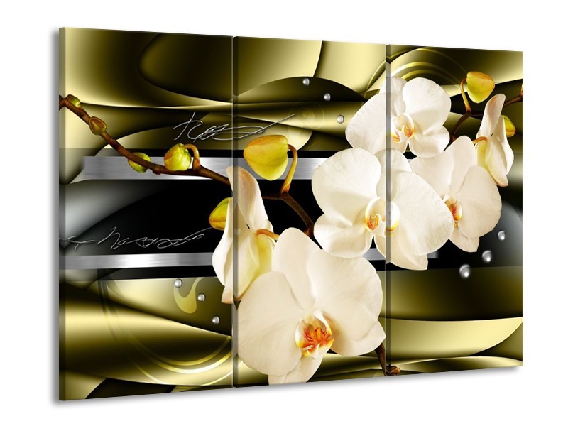 Canvas schilderij Orchidee | Groen, Crème | 90x60cm 3Luik