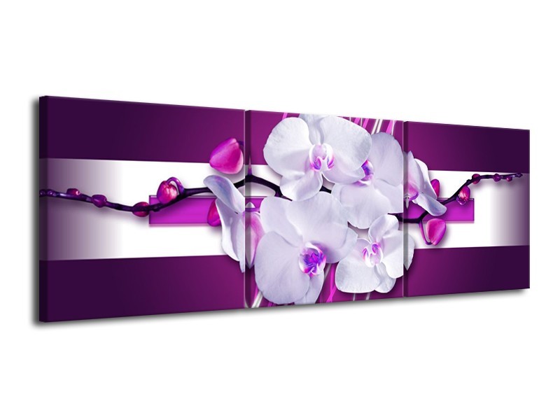 Canvas schilderij Orchidee | Paars, Wit | 120x40cm 3Luik