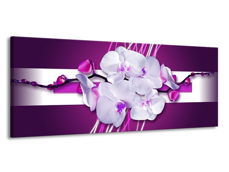 Canvas schilderij Orchidee | Paars, Wit | 145x58cm 1Luik