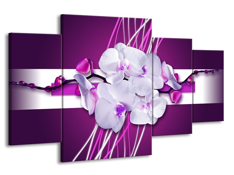 Canvas schilderij Orchidee | Paars, Wit | 160x90cm 4Luik