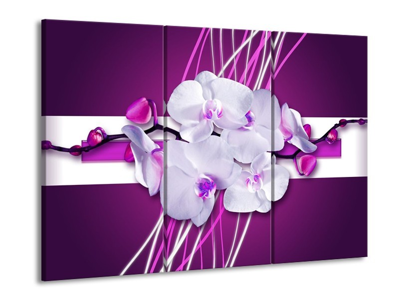 Canvas schilderij Orchidee | Paars, Wit | 90x60cm 3Luik