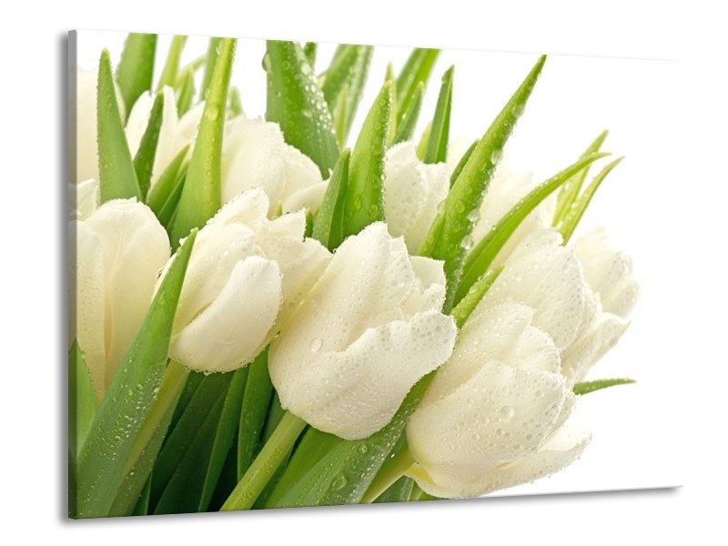 Canvas schilderij Tulpen | Wit, Groen | 100x70cm 1Luik