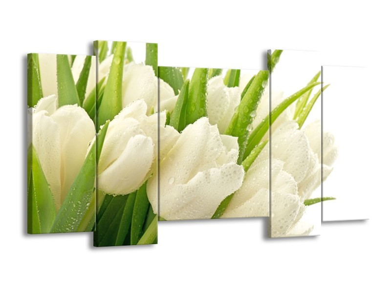 Canvas schilderij Tulpen | Wit, Groen | 120x65 5Luik