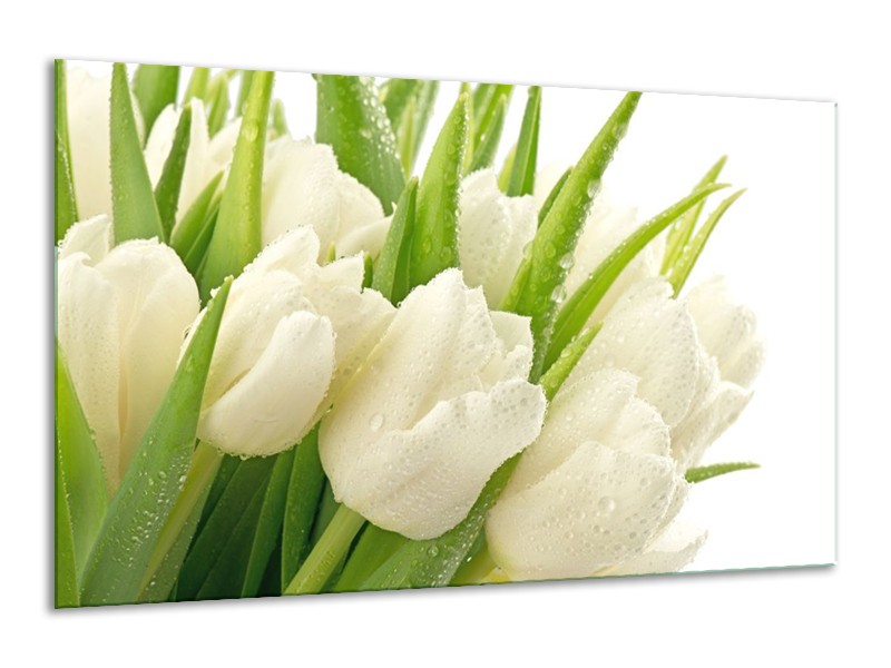Canvas schilderij Tulpen | Wit, Groen | 120x70cm 1Luik
