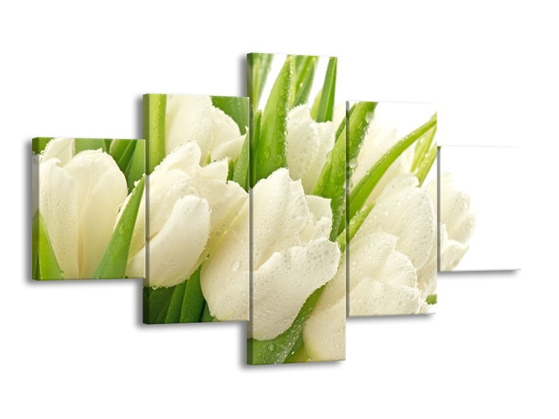 Canvas schilderij Tulpen | Wit, Groen | 125x70cm 5Luik