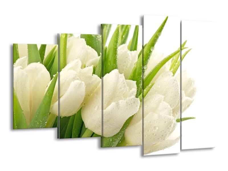 Canvas schilderij Tulpen | Wit, Groen | 150x100cm 5Luik
