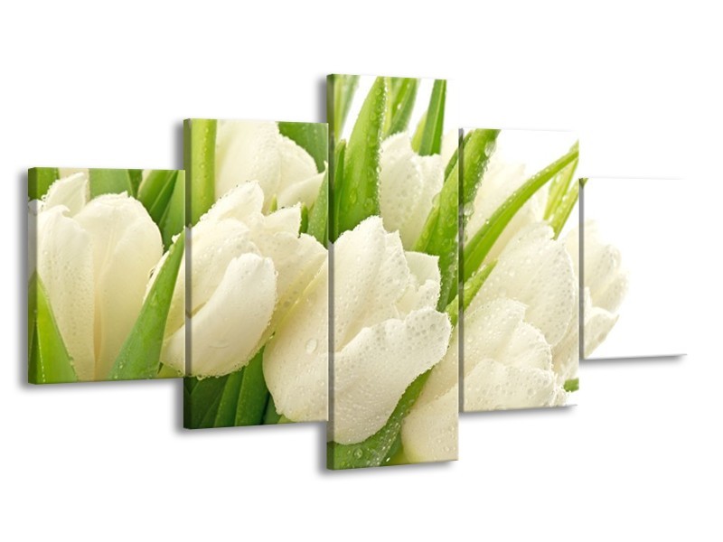 Canvas schilderij Tulpen | Wit, Groen | 150x80cm 5Luik