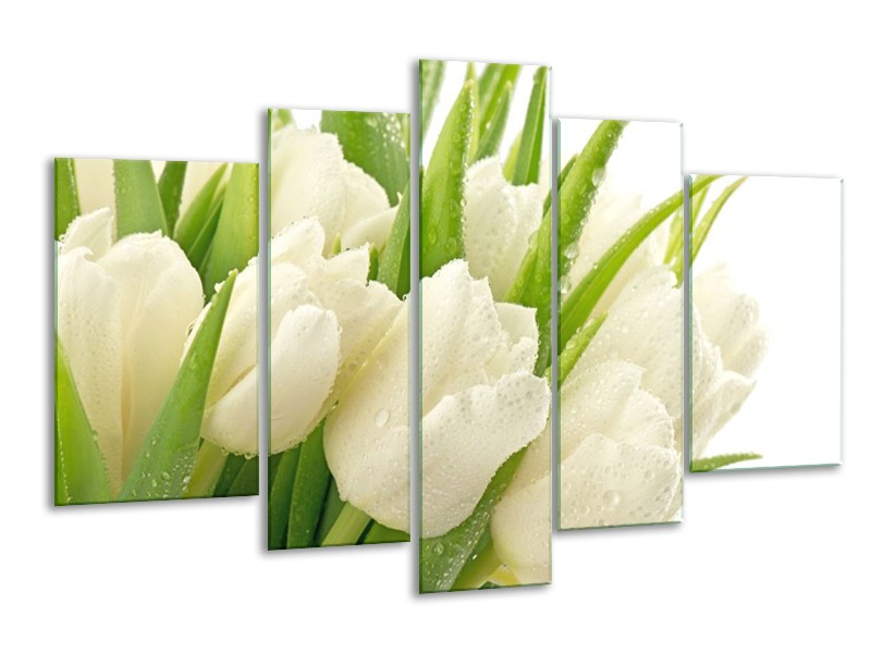 Canvas schilderij Tulpen | Wit, Groen | 170x100cm 5Luik
