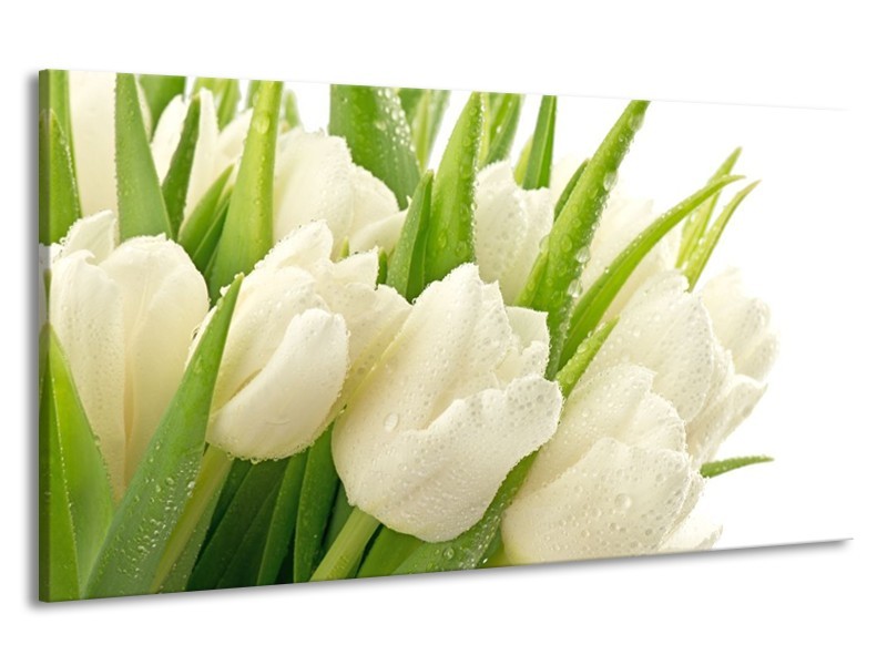 Canvas schilderij Tulpen | Wit, Groen | 190x100cm 1Luik