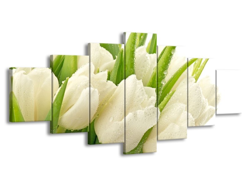 Canvas schilderij Tulpen | Wit, Groen | 210x100cm 7Luik