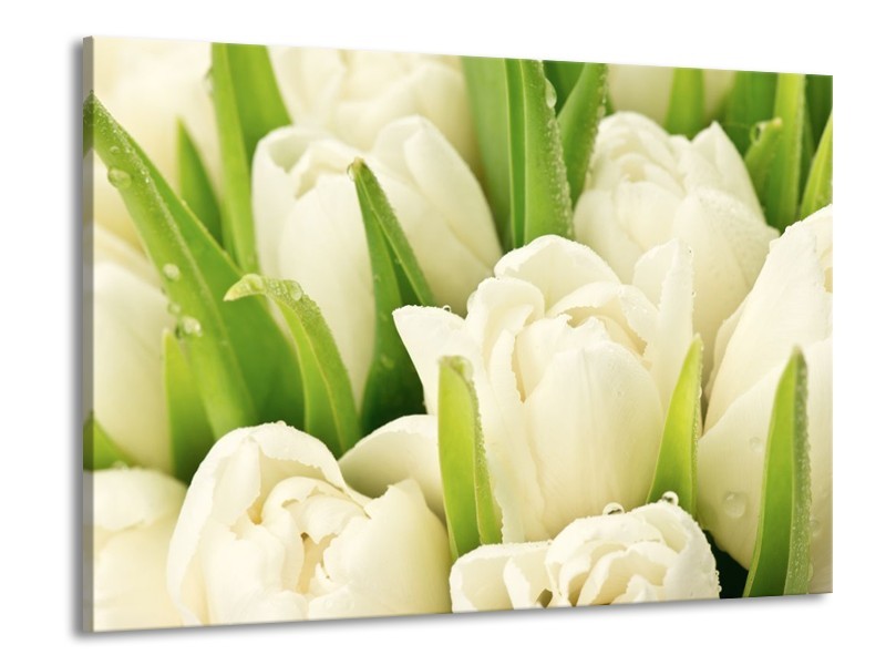Canvas schilderij Tulpen | Wit, Groen | 100x70cm 1Luik
