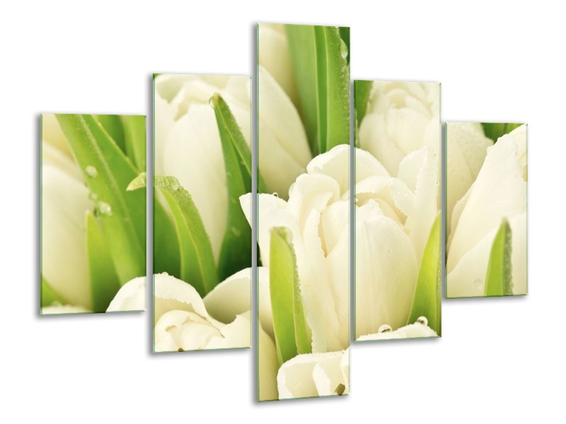Canvas schilderij Tulpen | Wit, Groen | 100x70cm 5Luik