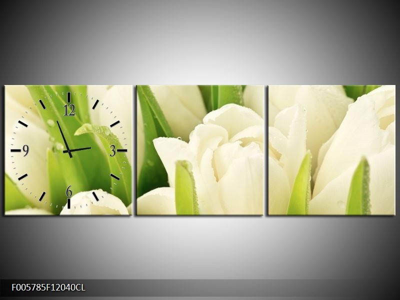 Klok schilderij Tulpen | Wit, Groen | 120x40cm 3Luik