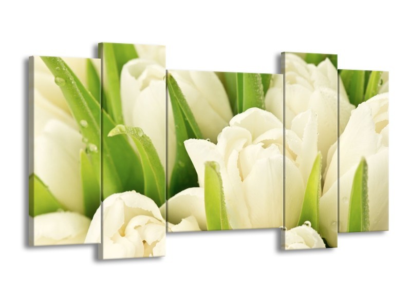 Canvas schilderij Tulpen | Wit, Groen | 120x65 5Luik