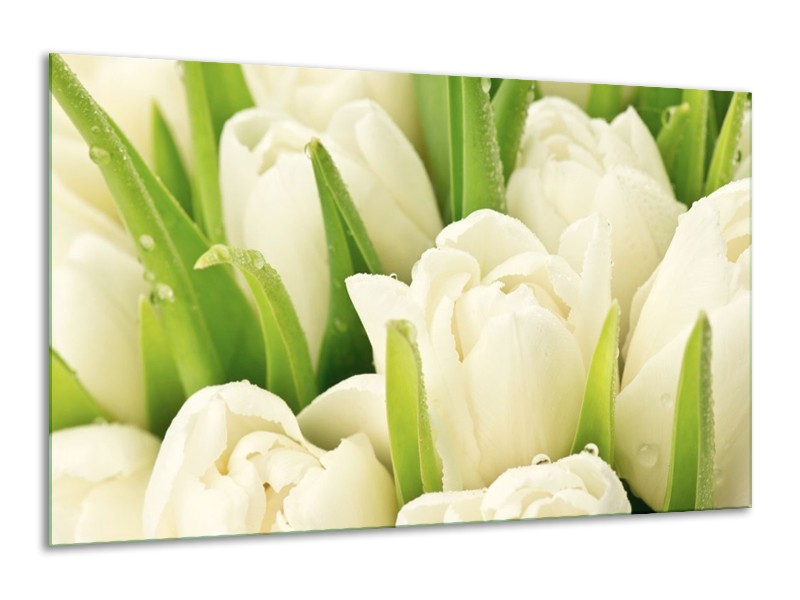Canvas schilderij Tulpen | Wit, Groen | 120x70cm 1Luik