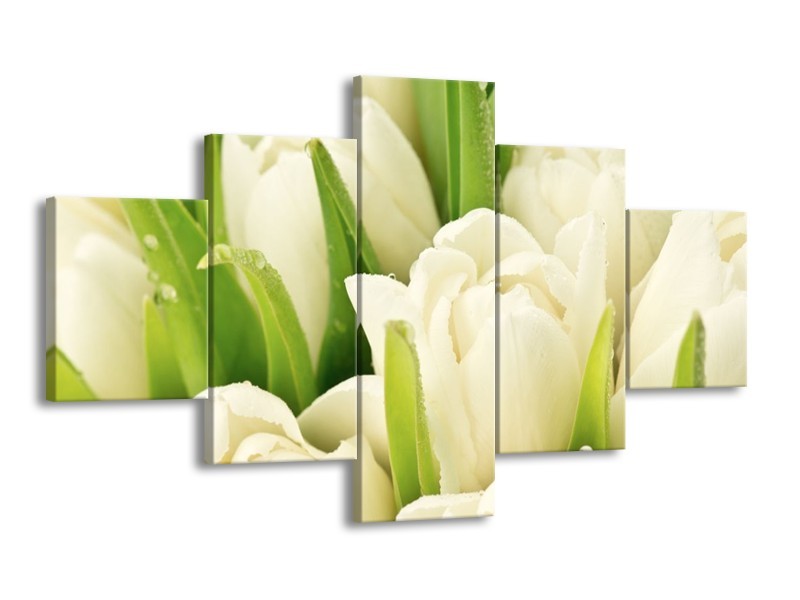 Canvas schilderij Tulpen | Wit, Groen | 125x70cm 5Luik
