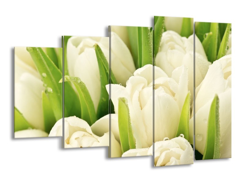 Canvas schilderij Tulpen | Wit, Groen | 150x100cm 5Luik