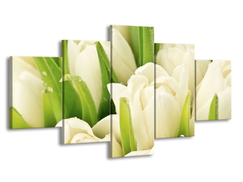 Canvas schilderij Tulpen | Wit, Groen | 150x80cm 5Luik