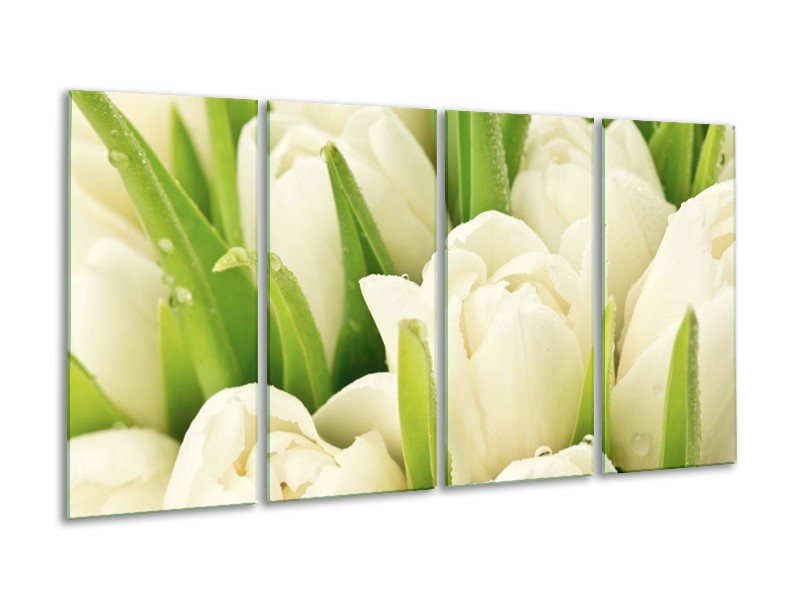 Canvas schilderij Tulpen | Wit, Groen | 160x80cm 4Luik