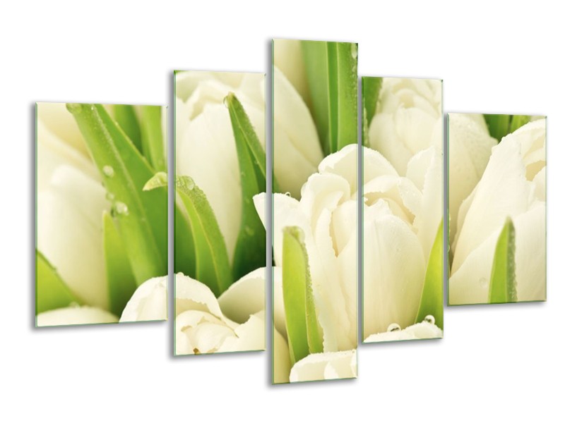 Canvas schilderij Tulpen | Wit, Groen | 170x100cm 5Luik